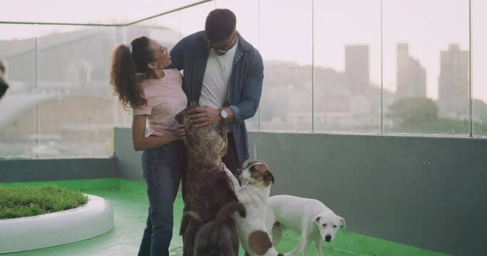 Happy man, woman and dogs playing at shelter for animal adoption, attention and care. Puppy, couple and love at pet center with empathy, choice and decision to adopt at charity with loyalty and trust