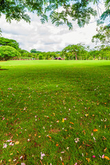 The tropical botanical garden in Xishuangbanna Dai Autonomous Prefecture Yunnan province, China.