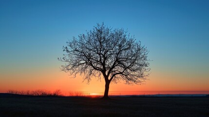 Fototapeta na wymiar Sunset silhouette nature beauty in tranquil dusk. Generative AI.