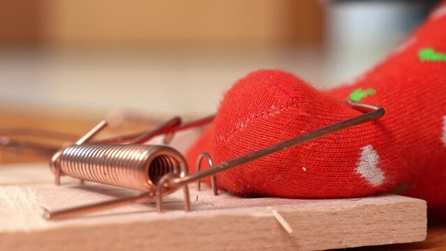 Person in red sock with hearts pattern struggles to free foot. Inattentive individual feels throbbing pain in foot caught in wooden mousetrap