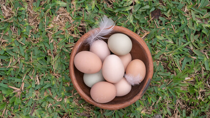 Organic brown and white eggs piled in a basket in the green grass