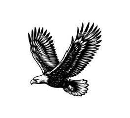 Bald Eagle hand drawn vector illustration vintage