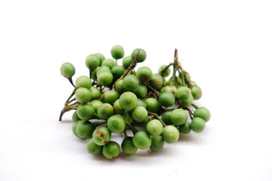 Solanum torvum, also known as pendejera, turkey berry, devil's fig, pea eggplant, platebrush or susumber on isolated background 
