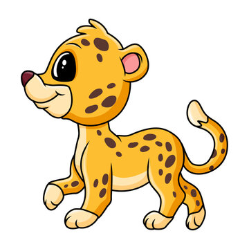 cute funny leopard a walking