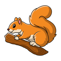 Funny cute squirrel cartoon happy