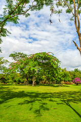 The tropical botanical garden in Xishuangbanna Dai Autonomous Prefecture Yunnan province, China.