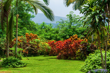 The tropical botanical garden in Xishuangbanna Dai Autonomous Prefecture Yunnan province, China.