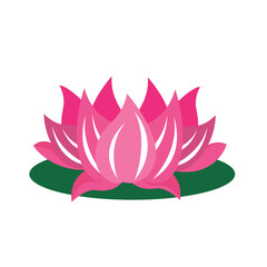 Spring Lotus Flower Vector flat illustration. nature and calmness.