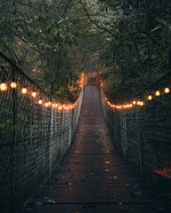 Puente colgante en medio del bosque con iluminación cálida en clima frío