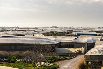 Fototapeta premium Plastic greenhouses on coast, Spain