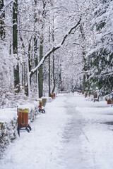 alley in a park in winter. snow on an alley in a public park.