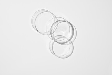 top view shot of a petri dish with liquid bubbles oil on a white background. hard lighting hard shadow.