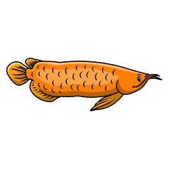 Funny cute arowana fish cartoon - 715224773