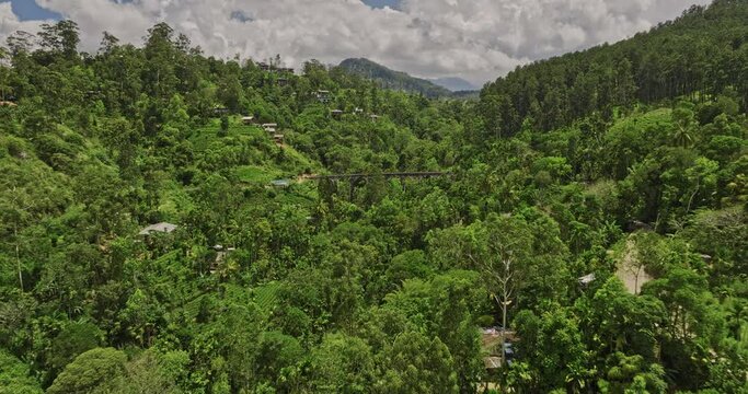 Ella Sri Lanka Aerial v29 low drone flyover Nine Arches Bridge capturing beautiful nature landscape with lush verdant valley, hillside terraced tea plantations - Shot with Mavic 3 Cine - April 2023