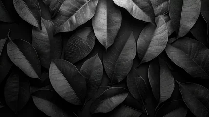 Foto op Plexiglas Textures of abstract black leaves for tropical leaf background © Ekaterina