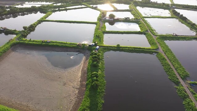 Tai Sang Wai Drought Fish Ponds