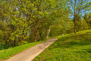 Trail in Park with Wooden Path on Fall in Vancouver, Canada.