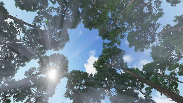 Dizzying rotation, looking at the sky with trees through which the rays of the sun break through, 3D render
