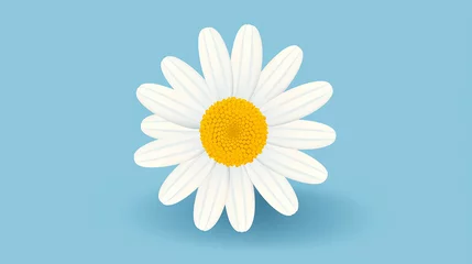 Fotobehang illustration of a simple, single daisy, its petals and yellow center against a blue background © Aura