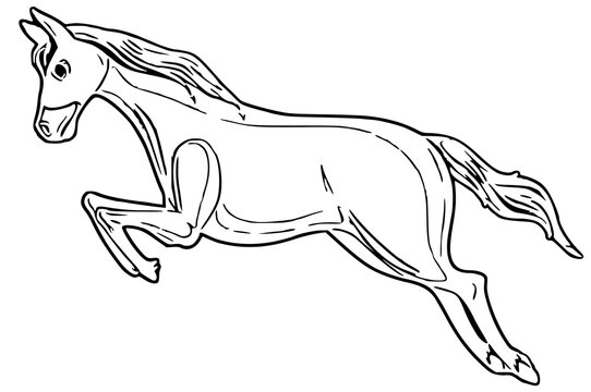 horse line art (28)