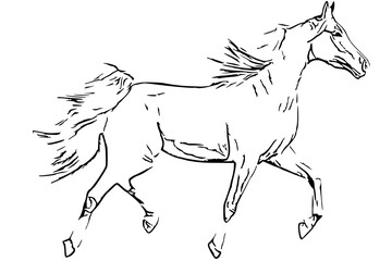 horse line art (45)