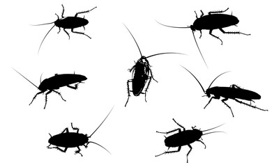 Cockroaches Graphic Design