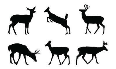 Deer Graphic Design