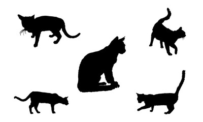 Cat Vector Design