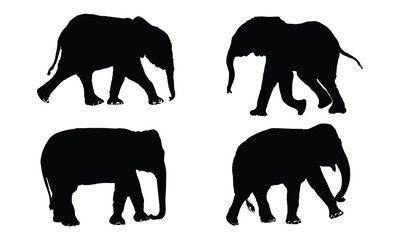 Elephant Vector Graphic