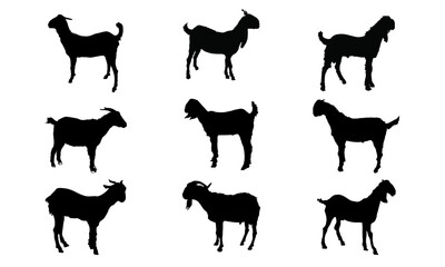 Goat Vector Graphic Design