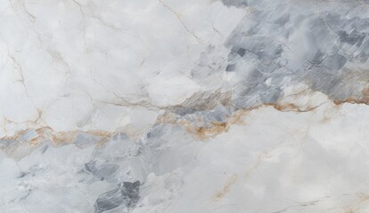 Obraz premium Natural white marble. the texture of light marble with gray flecks