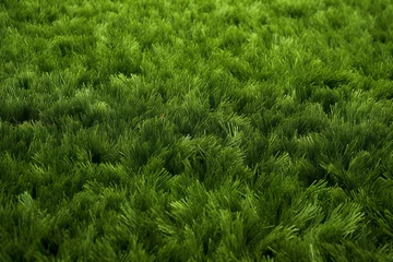 Zelfklevend Fotobehang Green grass texture background,  Close up of green grass texture background © Quantum