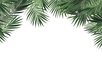 Fototapeta na wymiar palm tree leaves overlay texture, border of fresh green tropical plants isolated on transparent background