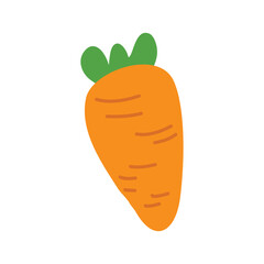 fresh carrot vegetable illustration food nature