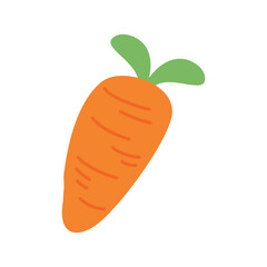 fresh organic carrots illustration
