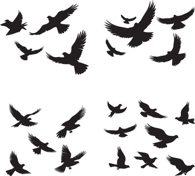 silhouettes of a beautiful birds set on white background 