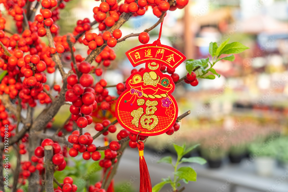 Wall mural Lucky knot hanging on flower for Chinese new year greeting,upside Chinese word means good bless for money.below Chinese word translation:good luck - Wall murals
