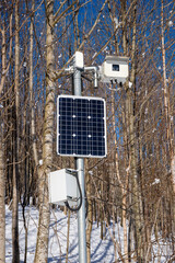 Solar-powered webcam mounted on a metal pole in front of a poplar grove in the snow