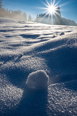 Snow covered landforms.  Ice crystals and a natural snowball in the foreground.  Tree silhouette...