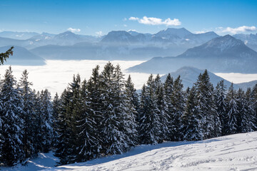 Fototapeta na wymiar Beautiful winter landscape. View from a mountain (Spitzstein) on the German-Austrian border of a blanket of fog over the Inn Valley. In the foreground ski slope and a spruce tree silhouette. Blue sky