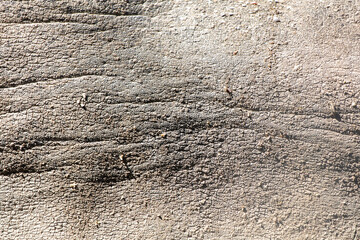 Elephant skin as an abstract background. Texture