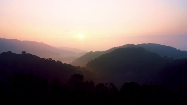 Ariel shot of Trees tops of forests of coorg in Karnataka, India
