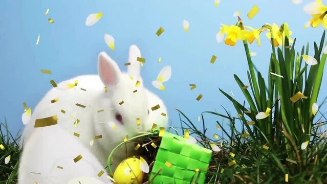 Animation of confetti over white rabbit with basket and daffodils on blue background at easter
