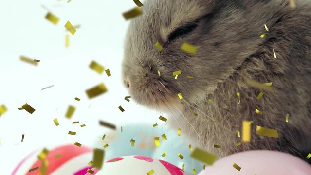 Animation of confetti over rabbit with easter eggs on white background at easter