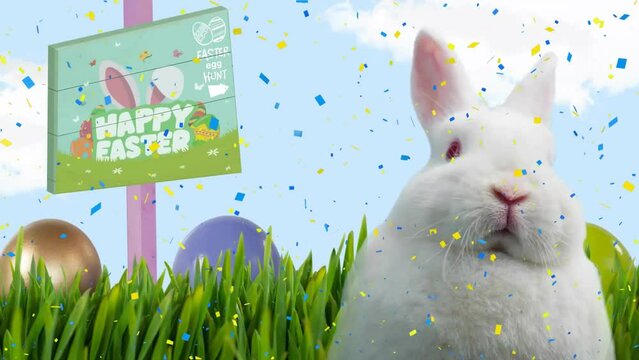 Animation of confetti over white rabbit with sign with happy easter text on blue background