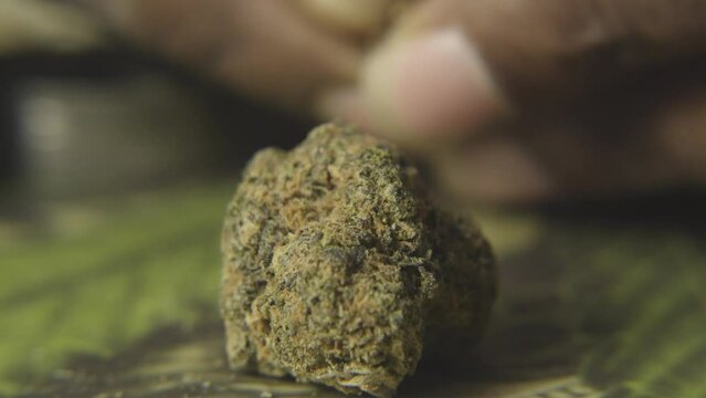 a cannabis bud sits while a black man is opening up a cigar to use the wrapper to roll a marijuana cigarette
