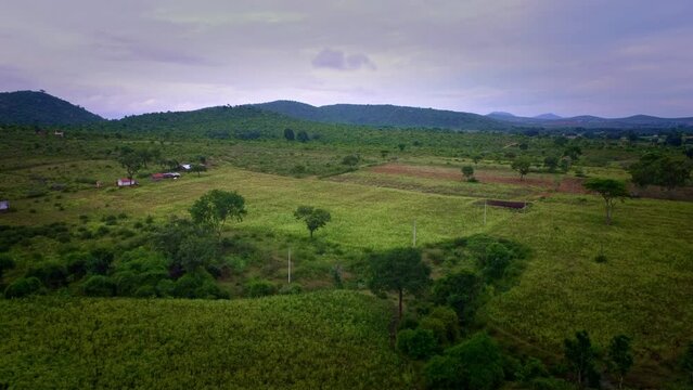 Drone shot of Bandipur Villege in Karnataka. Bandipur is famous for bandipur tiger reserves.