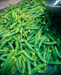 Fresh okra for sale at local market in India.