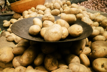 Potatoes on display at a farmers market, India.