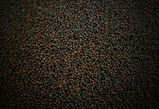 Close up of mustard seeds in the market.